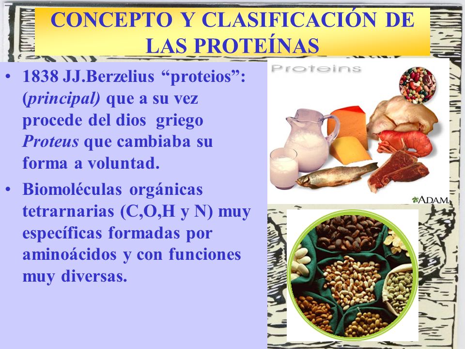 Alimentos con mayor aporte proteico